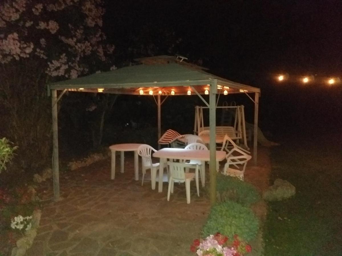 Garden Basement - Seminterrato Max 4 Ospiti - Fiumicino Vicino Aeroporto E Fiera Leilighet Eksteriør bilde