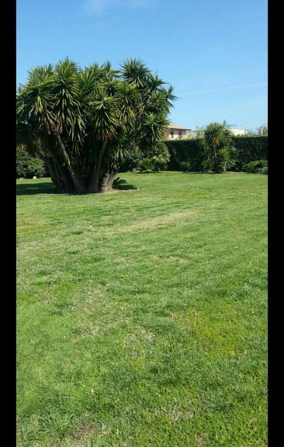 Garden Basement - Seminterrato Max 4 Ospiti - Fiumicino Vicino Aeroporto E Fiera Leilighet Eksteriør bilde