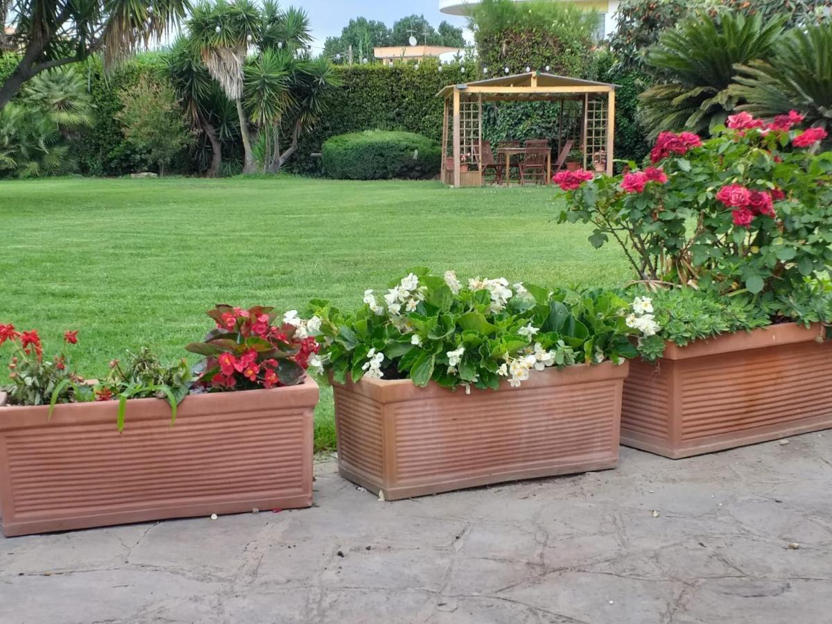 Garden Basement - Seminterrato Max 4 Ospiti - Fiumicino Vicino Aeroporto E Fiera Leilighet Eksteriør bilde